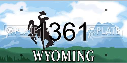1361 Wyoming License Plate