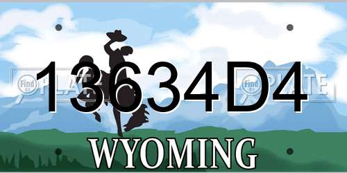 13634D4 Wyoming License Plate