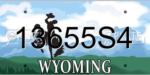 13655S4 Wyoming License Plate