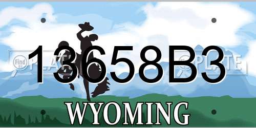 13658B3 Wyoming License Plate
