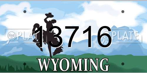 13716 Wyoming License Plate