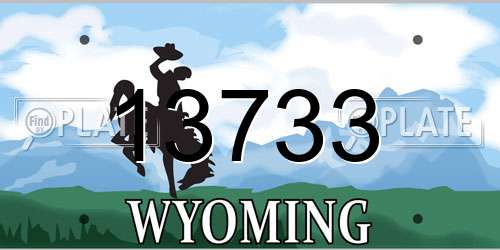 13733 Wyoming License Plate
