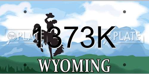 1373K Wyoming License Plate
