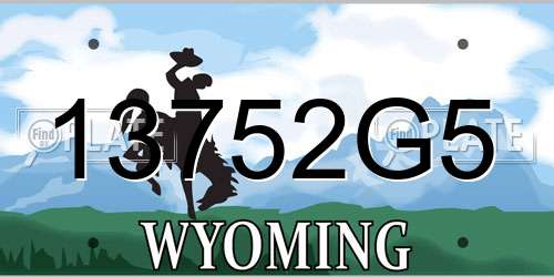 13752G5 Wyoming License Plate