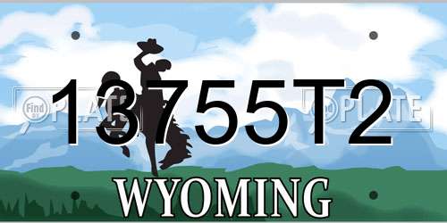 13755T2 Wyoming License Plate