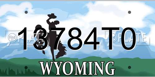 13784T0 Wyoming License Plate
