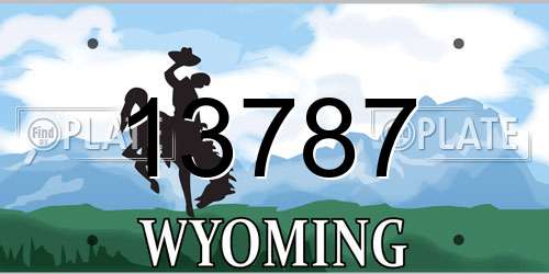 13787 Wyoming License Plate