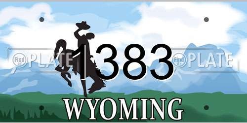1383 Wyoming License Plate