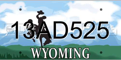 13AD525 Wyoming License Plate