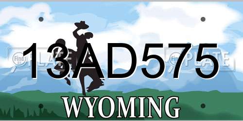 13AD575 Wyoming License Plate
