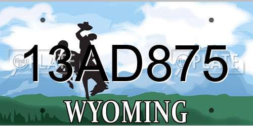 13AD875 Wyoming License Plate