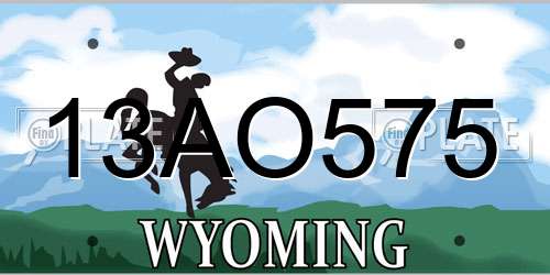 13AO575 Wyoming License Plate