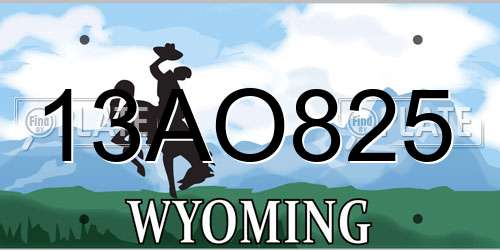 13AO825 Wyoming License Plate