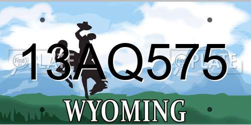 13AQ575 Wyoming License Plate