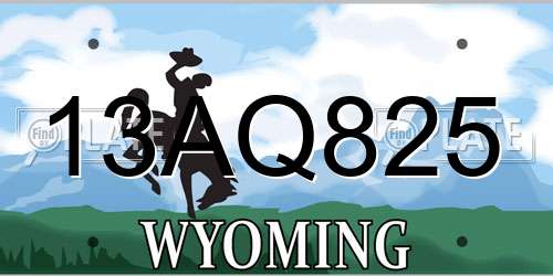 13AQ825 Wyoming License Plate
