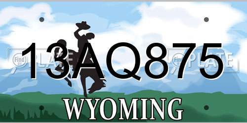 13AQ875 Wyoming License Plate