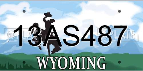 13AS487 Wyoming License Plate