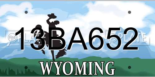 13BA652 Wyoming License Plate