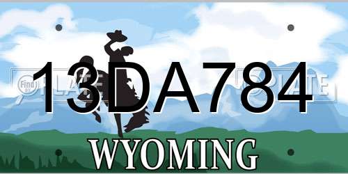 13DA784 Wyoming License Plate