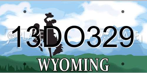 13DO329 Wyoming License Plate