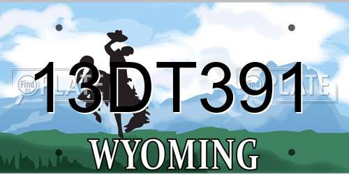 13DT391 Wyoming License Plate