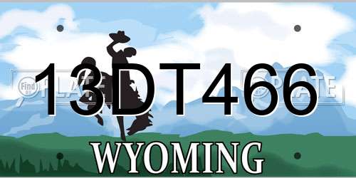 13DT466 Wyoming License Plate