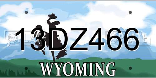 13DZ466 Wyoming License Plate