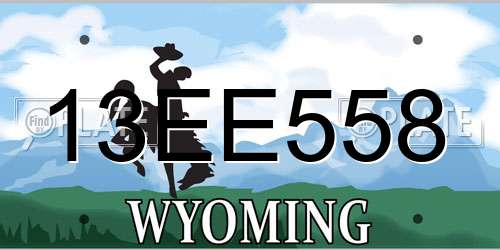 13EE558 Wyoming License Plate