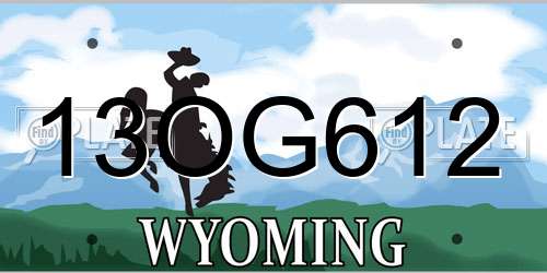 13OG612 Wyoming License Plate