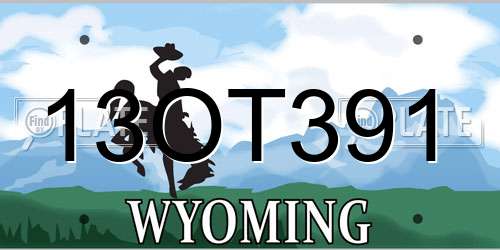 13OT391 Wyoming License Plate