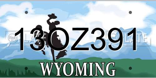 13OZ391 Wyoming License Plate