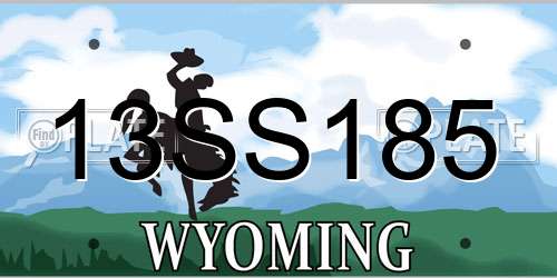 13SS185 Wyoming License Plate