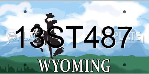 13ST487 Wyoming License Plate