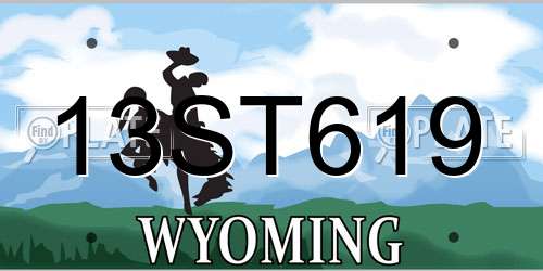 13ST619 Wyoming License Plate