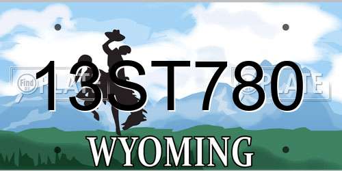 13ST780 Wyoming License Plate
