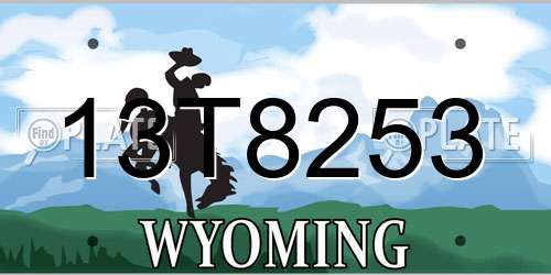 13T8253 Wyoming License Plate