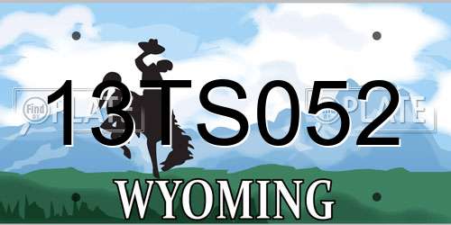 13TS052 Wyoming License Plate
