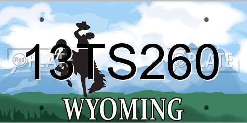 13TS260 Wyoming License Plate