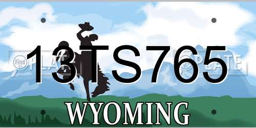13TS765 Wyoming License Plate