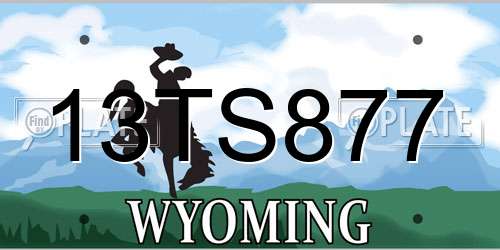 13TS877 Wyoming License Plate