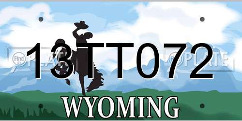 13TT072 Wyoming License Plate