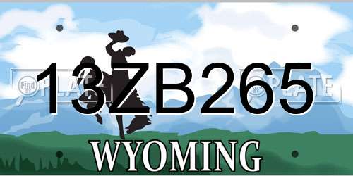 13ZB265 Wyoming License Plate