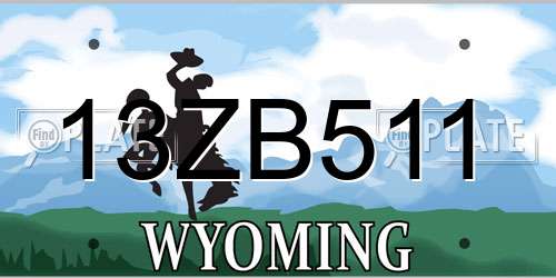 13ZB511 Wyoming License Plate