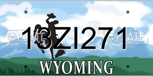 13ZI271 Wyoming License Plate