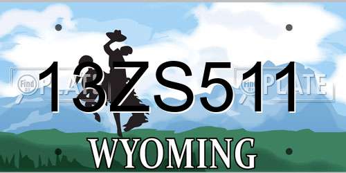 13ZS511 Wyoming License Plate
