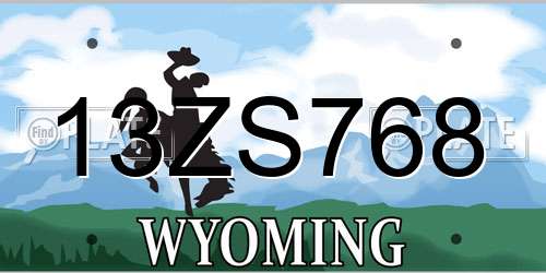 13ZS768 Wyoming License Plate