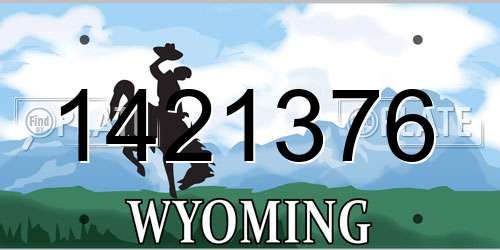 1421376 Wyoming License Plate