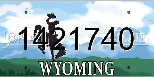 1421740 Wyoming License Plate