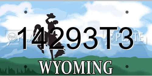 14293T3 Wyoming License Plate