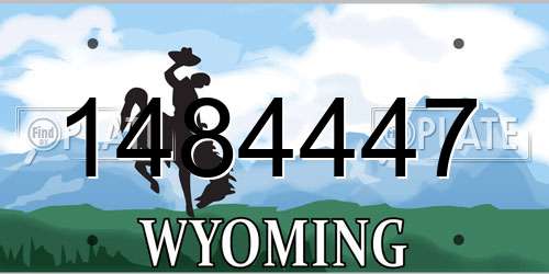 1484447 Wyoming License Plate